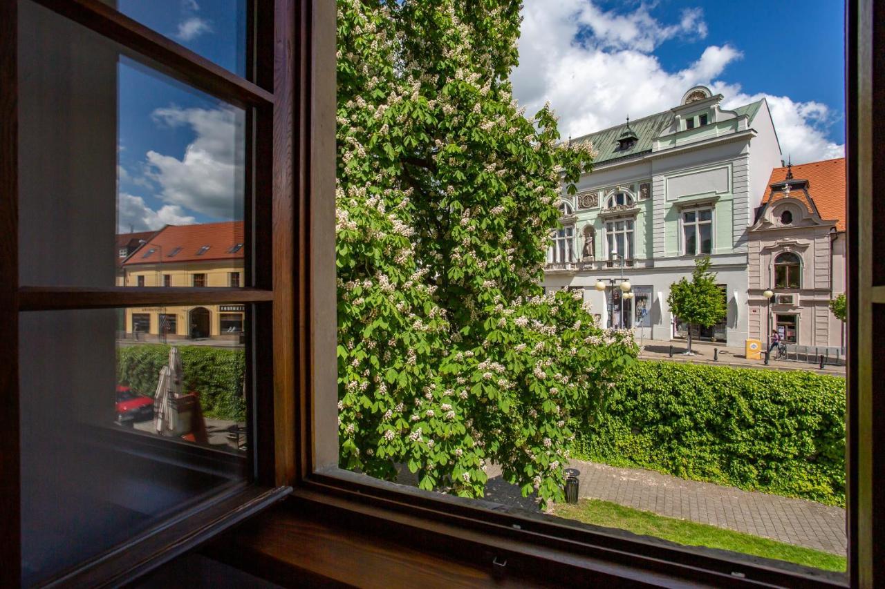 Castle Hotel & Wellness Podebrady Exterior photo